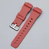 Red-Silver Buckle