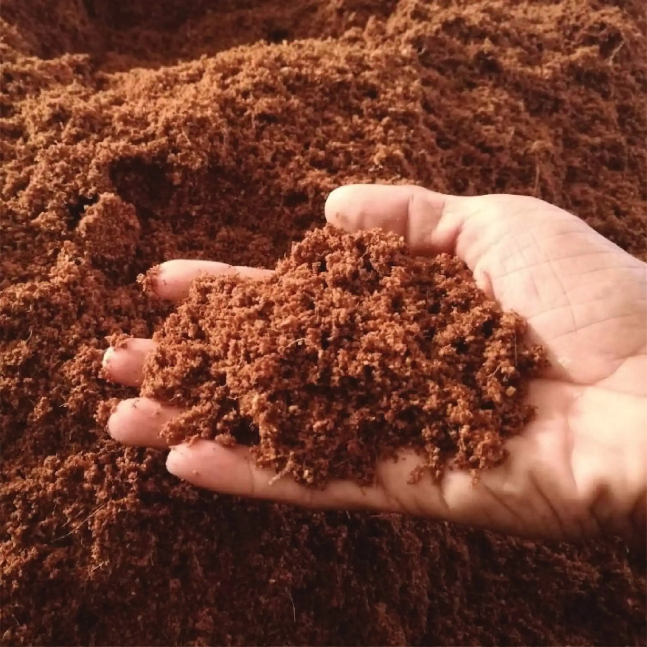 Cocopeat Indoor Outdoor Soil For Gardens & Plants Coco Coir Fully