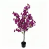 สีม่วง