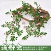 Victoria Rose Vine - Rosa Claro