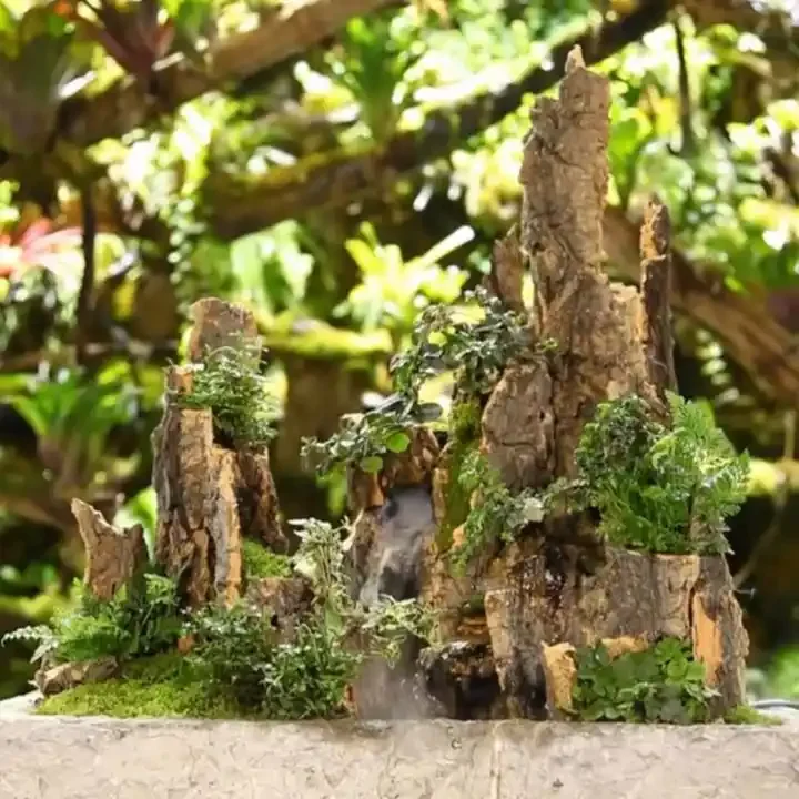 Aquarium Fish Tank Landscaping Natural Driftwood Champagne Bark Buy