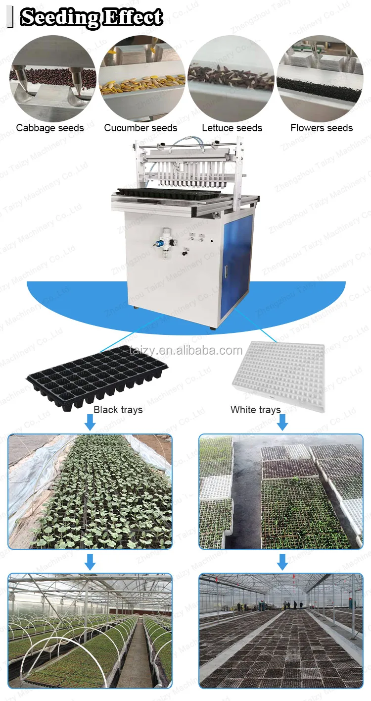 Automatic Seed Planting Machine Trays Seed Planting Machine Nursery Seeding Machine with CE