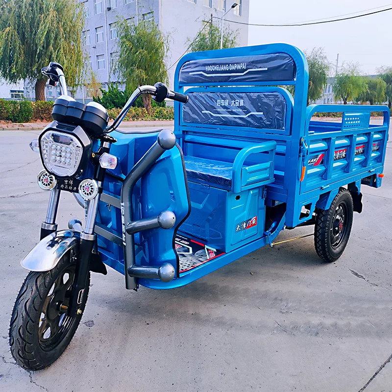 Electric Tricycles 3 Wheel Electric Cargo Bike Minitype For Cargo Solar