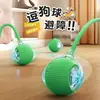 Green [Cat Teasing Ball] No Wake-Up Call
