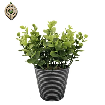 Wholesale artificial plants household decoration artificial plants 20cm money leaves of artificial trees