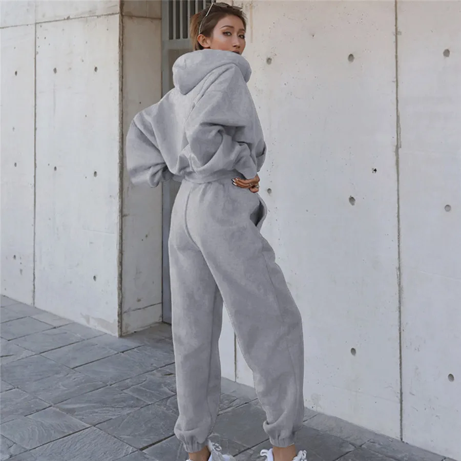 Autumn Hooded Terry Casual Solid Color Sweatshirt and Long Pants Sports Two-Piece Set OD preview