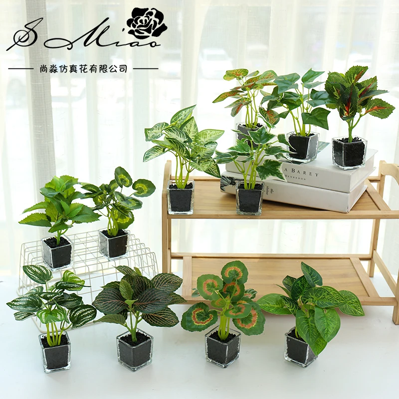 Really Touch Indoor Artificial Desk Plant For Office Decoration Buy
