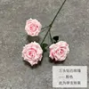 Diamante a tre teste rosa-rosa