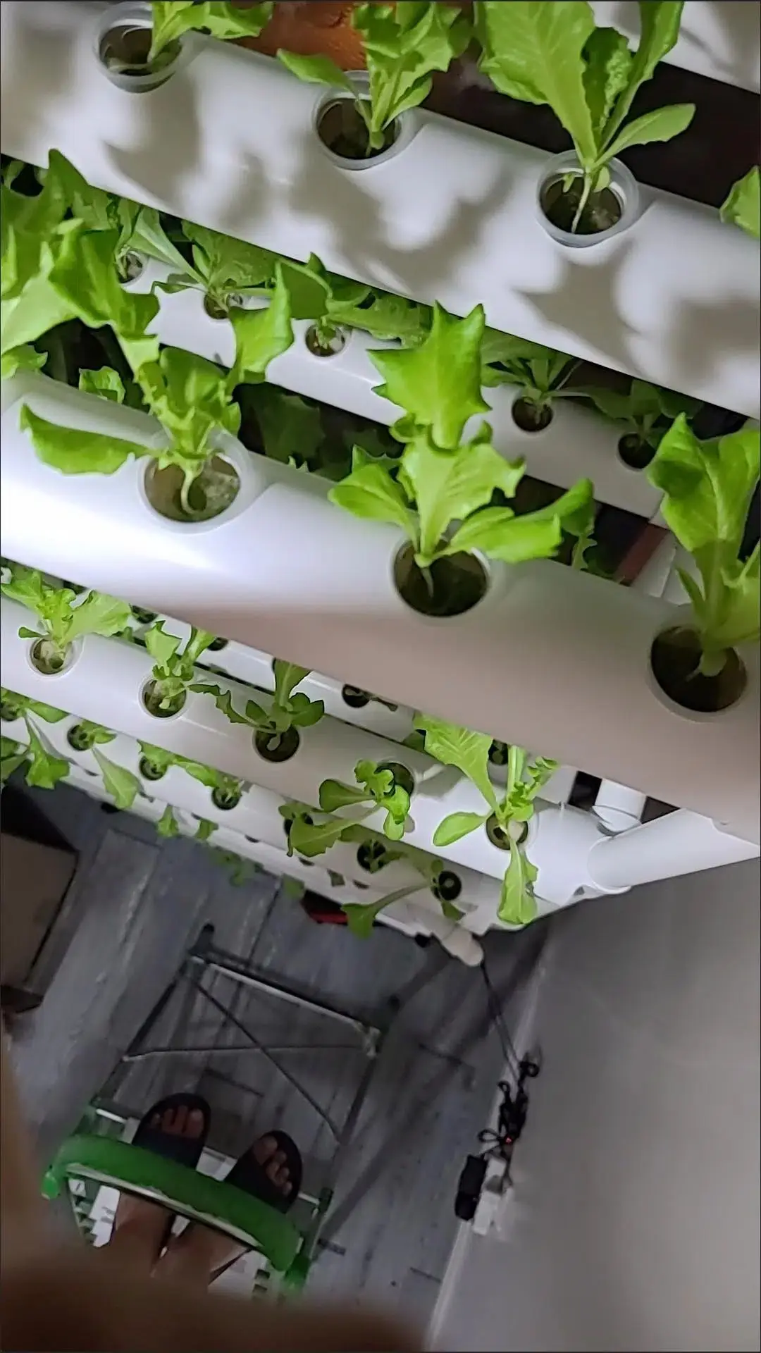 PVC Pipe Vertical Hydroponics Grow Kit for Farm NFT System With 36 Holes  Kits Hydroponic Plant Systems for Strawberry Lettuce, image size:1080x1920