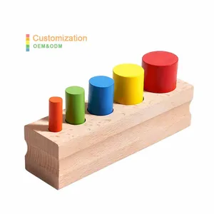 Montessori Sensory Matching Teaching Aids Memory Wooden Sticks Cylinder Socket Blocks Colorful Educational Cylindrical Toys