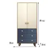 60*45*160cm blue