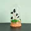Obsidiana negra