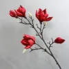 Magnolia a 5 teste con bordo arricciato rosso autunnale