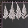 MH687 Lace Fern 4-6cm white 50pcs