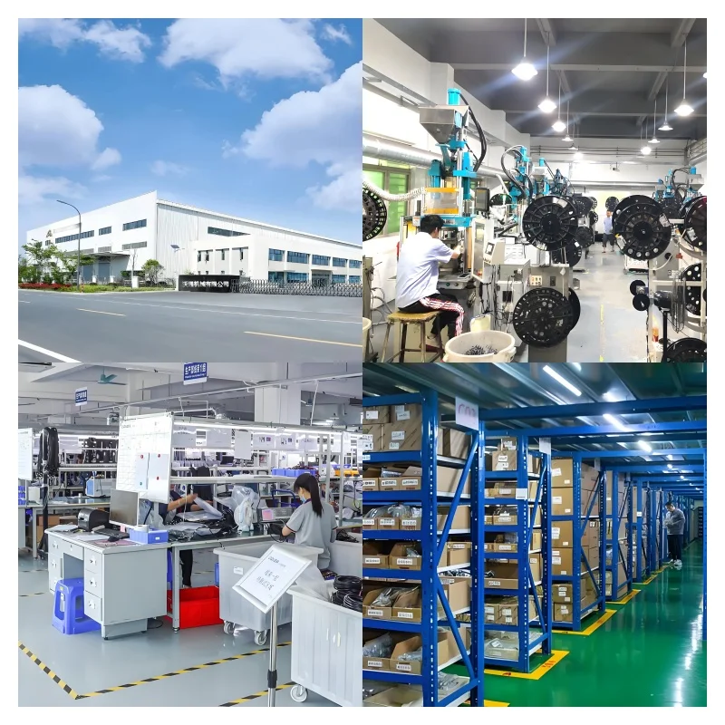 Company overview