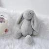 Gray bunny