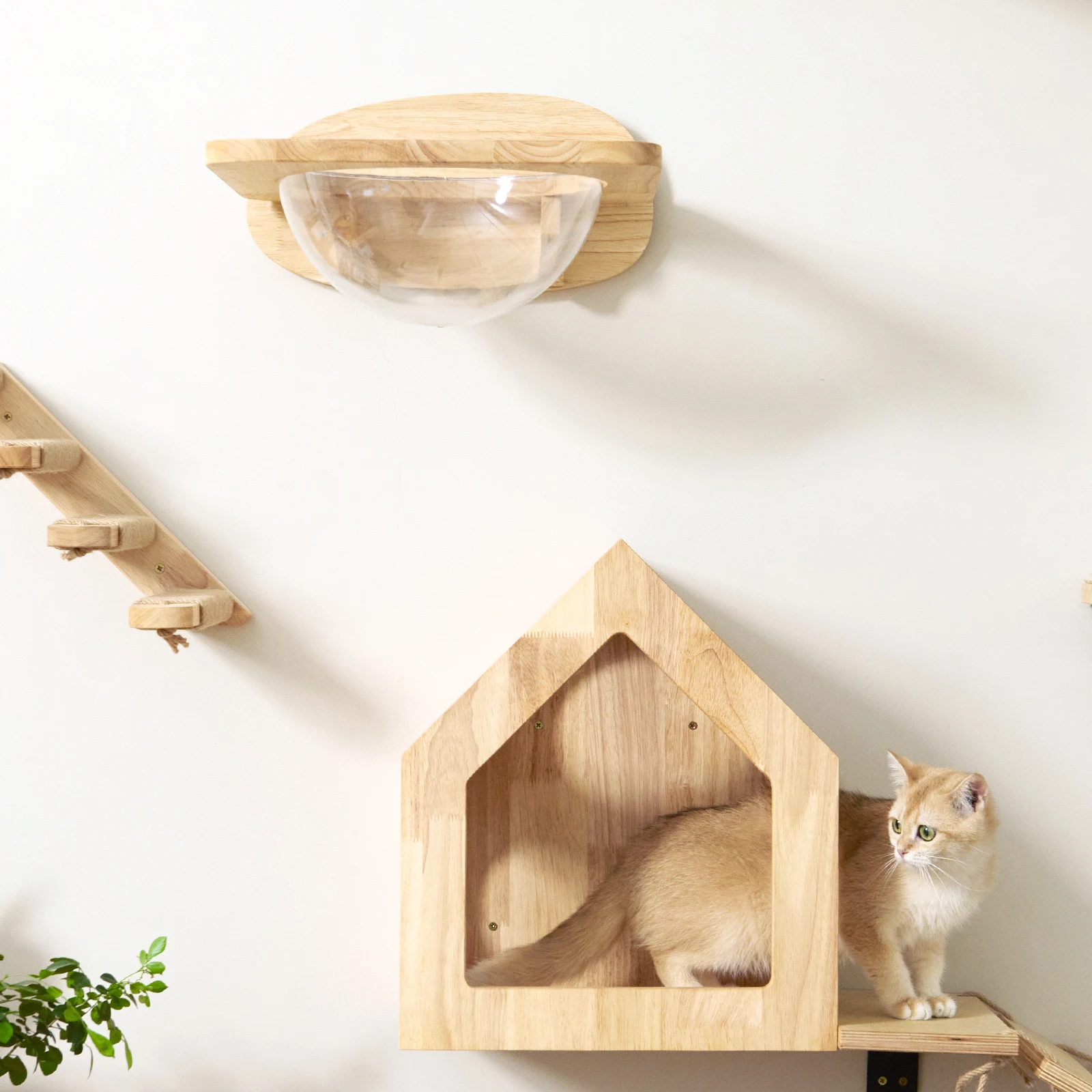 Fukumaru Cat Shelves Cat Wall Shelves Cat Wall Furniture Wall Pet Space