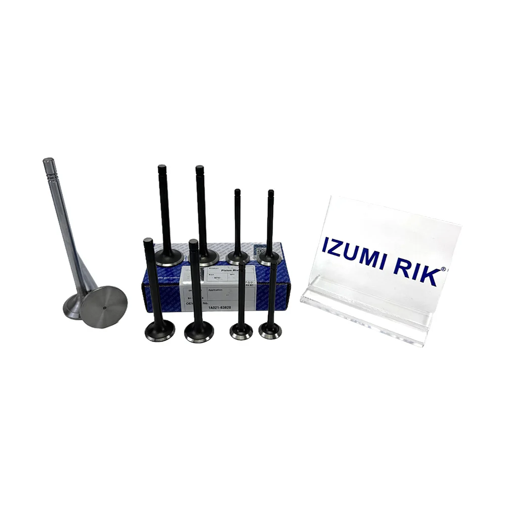 IZUMI RIK D926, D9306, D9308, D936, D936L Injap untuk Liebherr Alat ganti enjin diesel