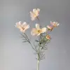 Champagne d'automne