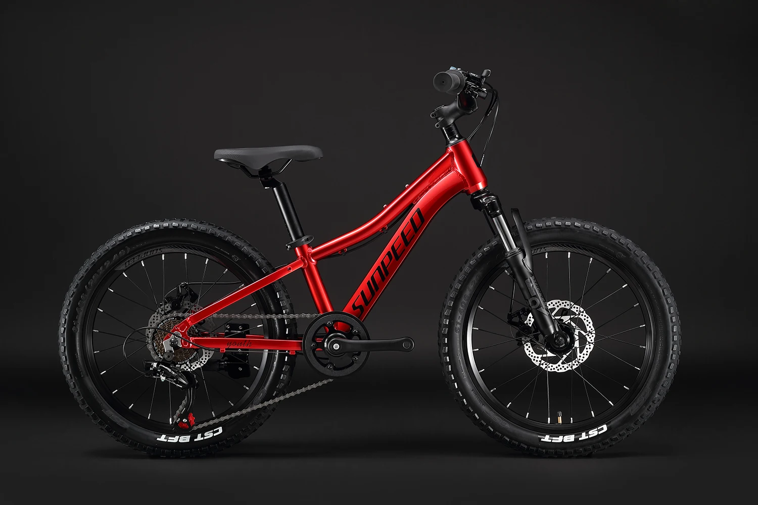 SUNPEED Hot Sale Kinderfahrrad 20 Zoll Aluminium Kinderfahrrad fr  5-jhrige Mdchen