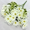 Bianco 01