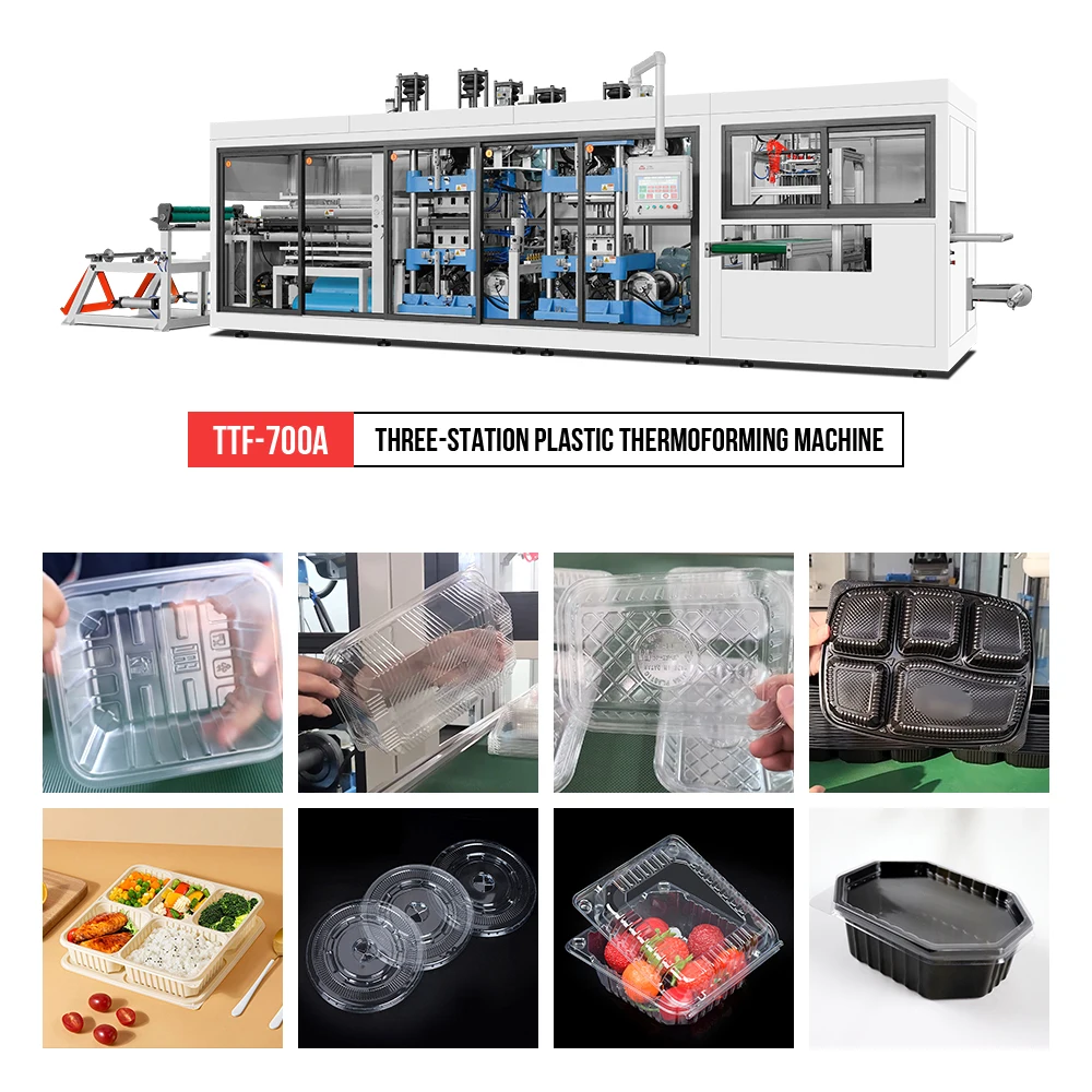 Thermoforming Machine for Pet Fruit Container Chocolate Box Cheese Box