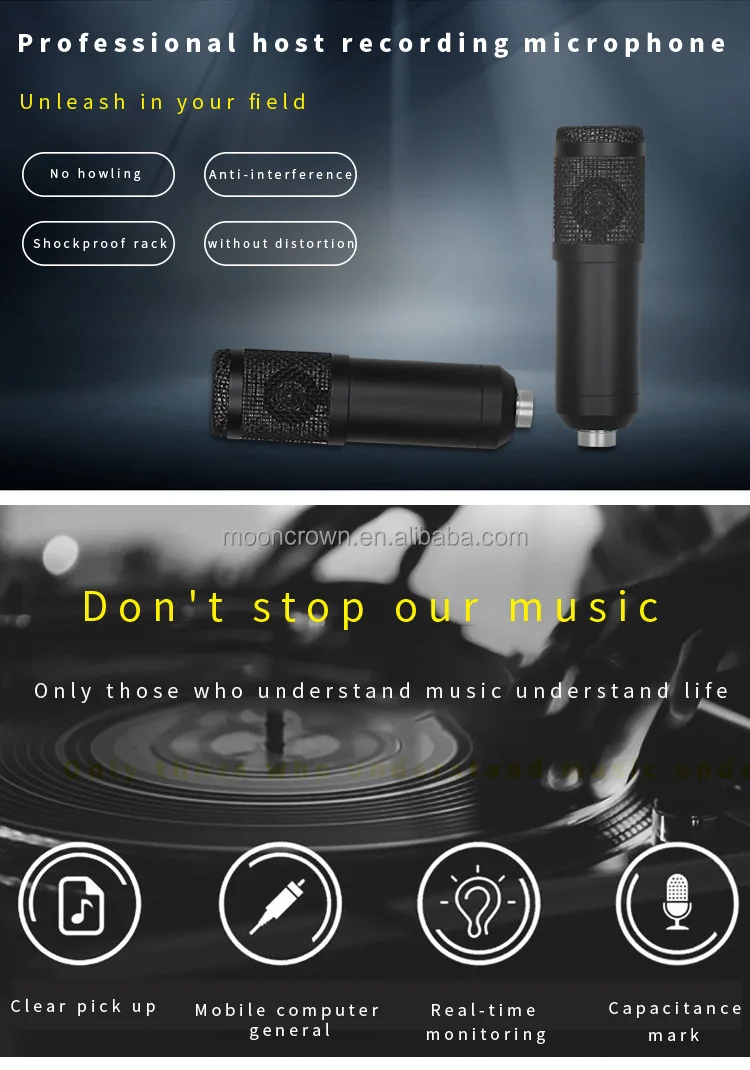 Bm800 Mic V10 Pro Sound Card V10xpro Set Professional Studio Recording