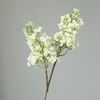 Blanco-64cm