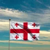 Georgia Flag