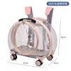 1904-2 Transparent Light Pink