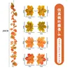 Maple Vine - No. 6