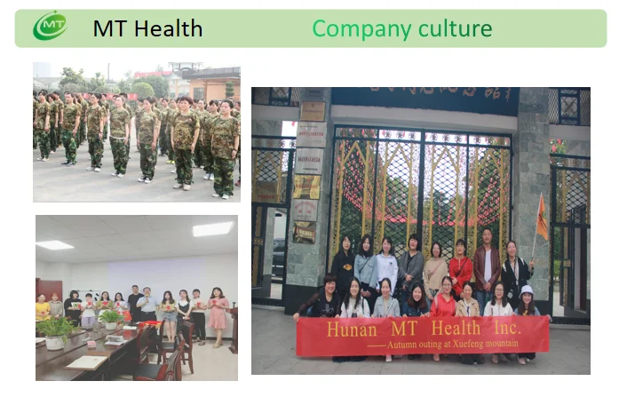 Company culture MT1