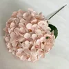 Rosa claro
