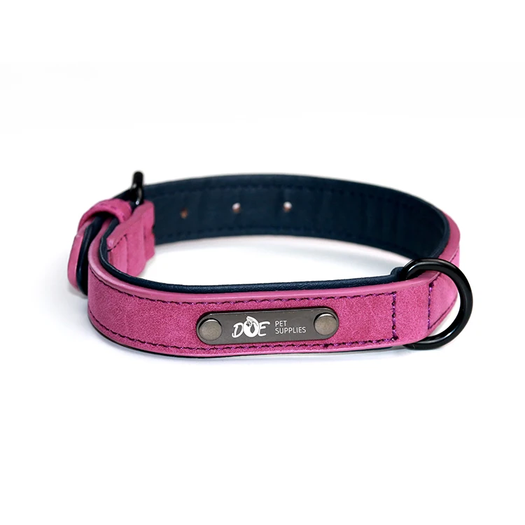 2 inch thick dog collars