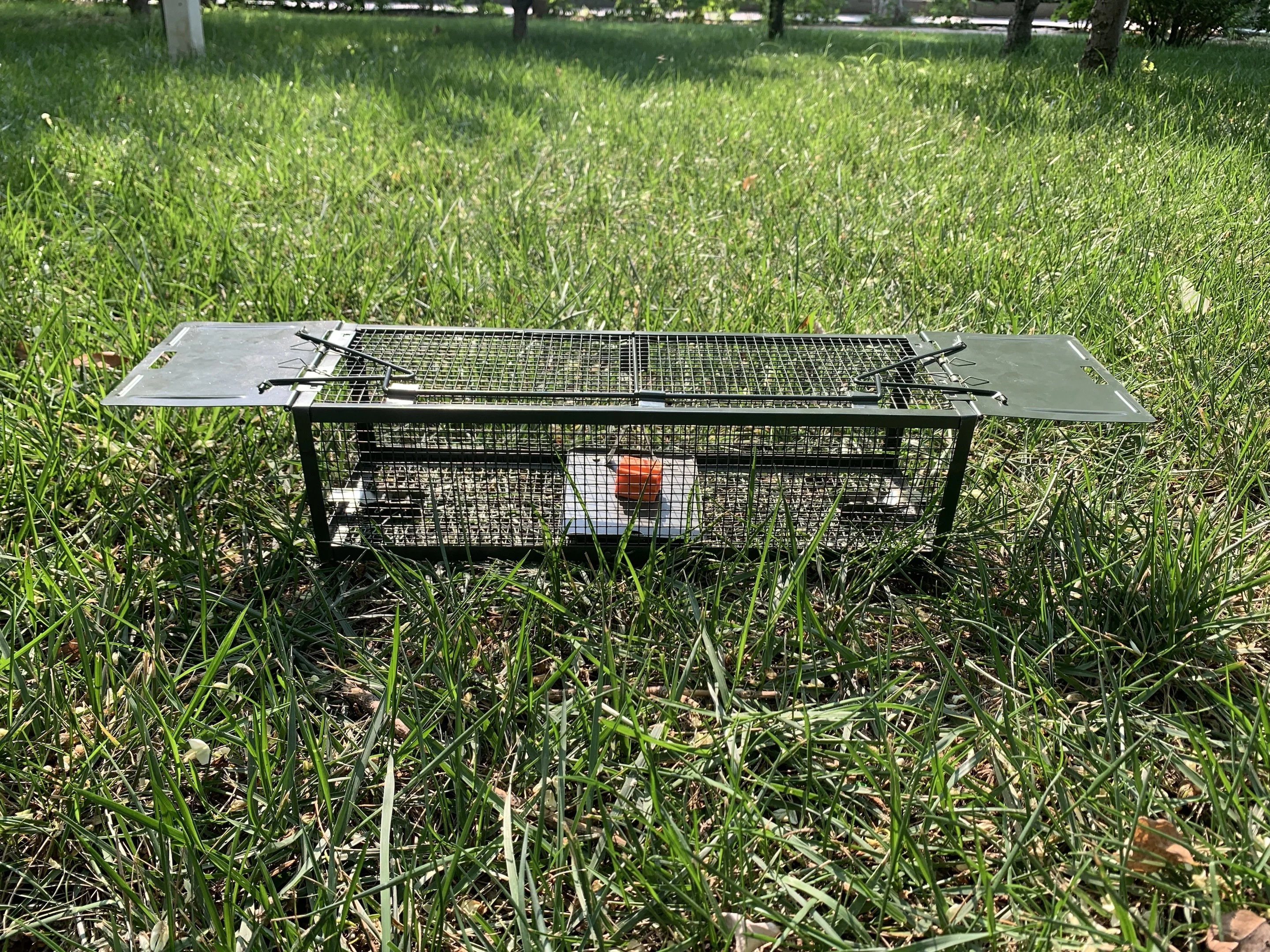 Humane Automatic Double Doors Wire Mesh Metal Live Chipmunk Mouse Rodent Rat Trap Cage Big Type for House Garden