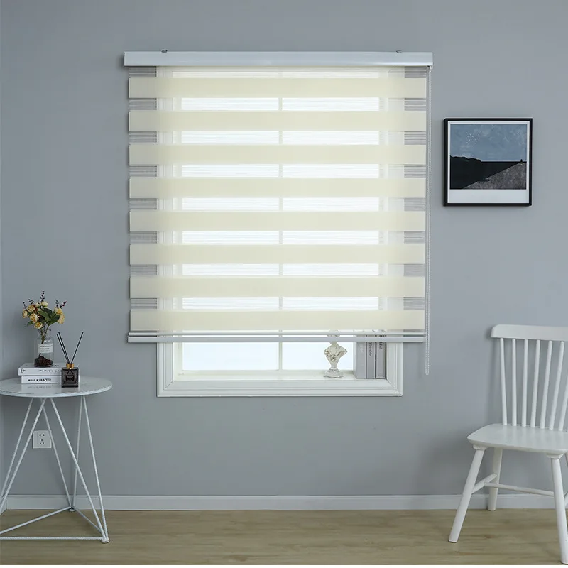 Blinds for Window Dual Layer Roller Zebra Sheer Shades Light Filtering Window Treatments Privacy Zebra Blinds for Day and  night
