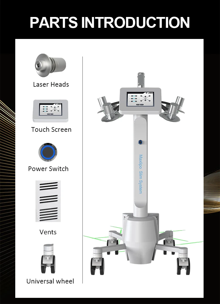 New Technology Vertical 6d Cold Soure Laser Fat Removal Weight Loss With Green Light