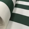 Strisce verdi e bianche