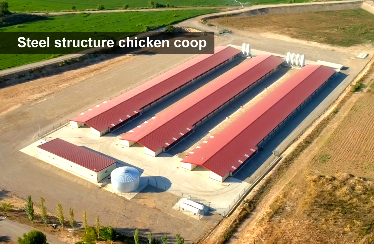 Cheap Construction Steel Structure Shed for Poultry Farm