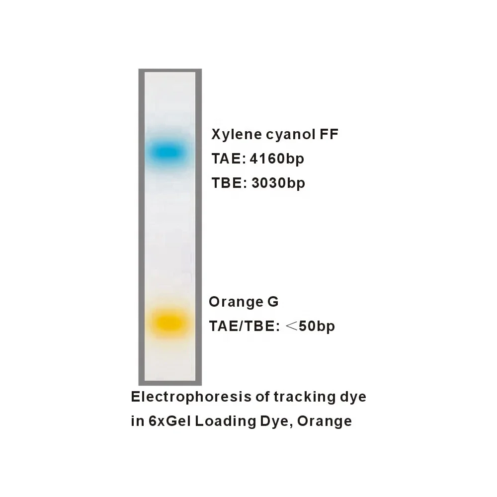 6x gel loading dye three color buy gel loading dye dna loading buffer dna electrophoresis product on alibaba com