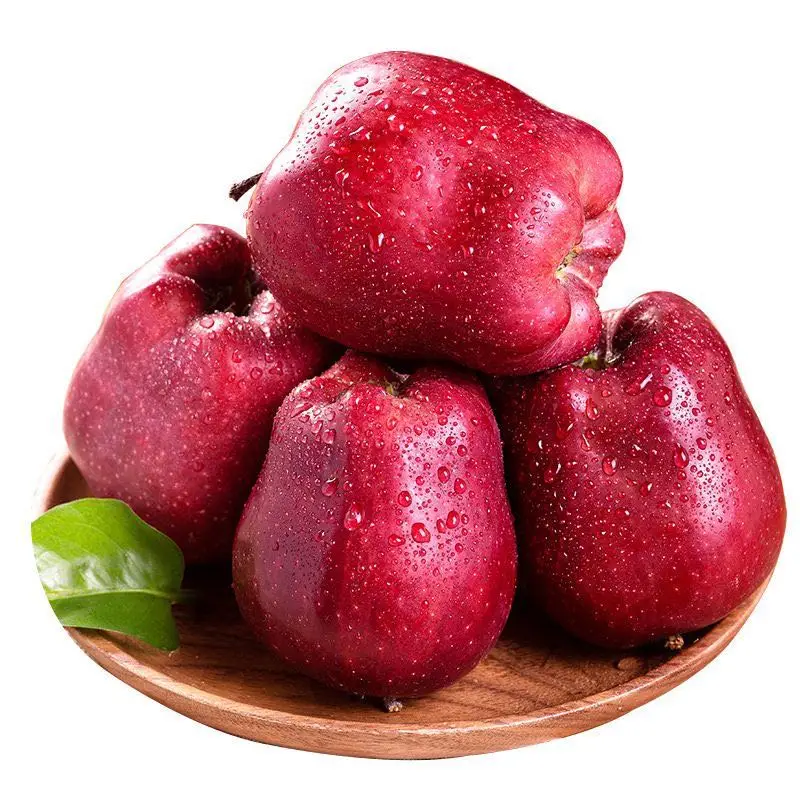 レッドディスターキングガラチーフスカーレットレッドフレッシュアップル Buy Red Fresh Apples Red Delicious Apples Huaniu Apples Product On Alibaba Com