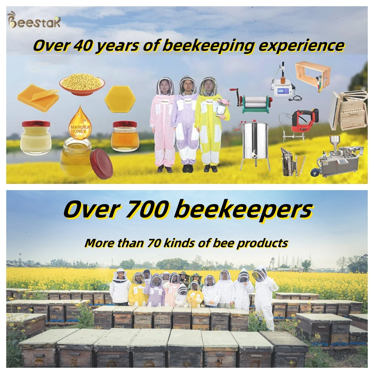 BEESTAR Beekeeping Equipment Hive Tool with Queen Marker Posca for Queen Marking Bee Pen Product Type Animal Husbandry