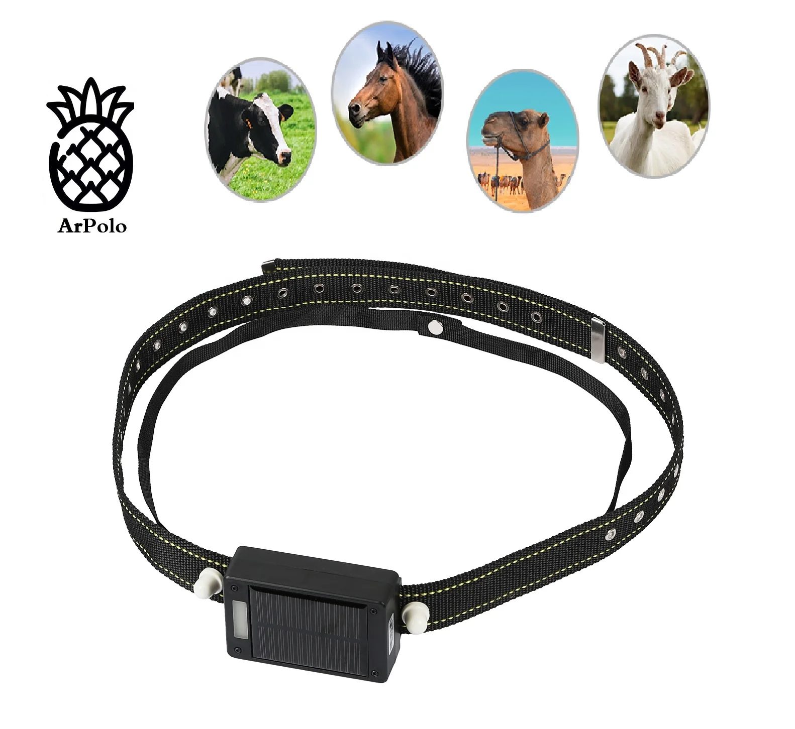 Oem Silicone Collar Gps Tracking Animal Cow Gps Tracker Camel Horse For