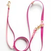 leash 1