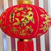 New year lantern 014