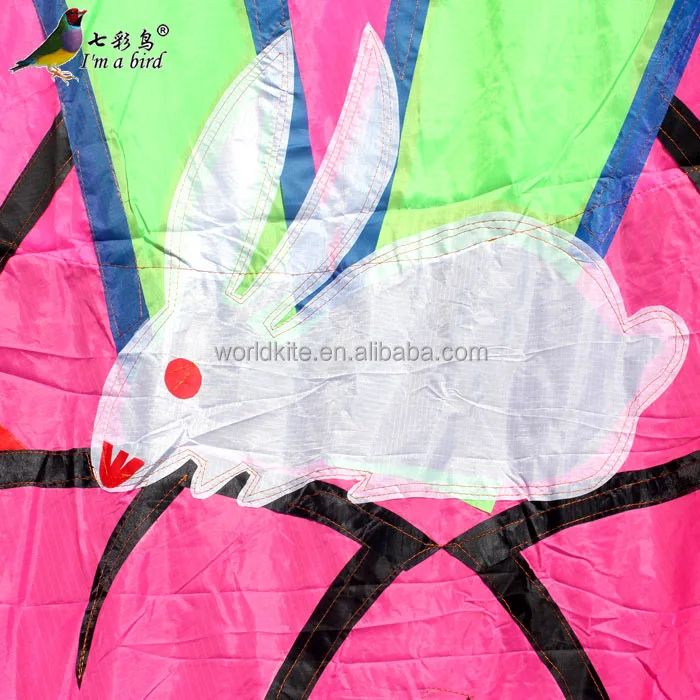 Soft Kite A Chinese Girl Lived In Moon And Single Line Foil Kites Buy