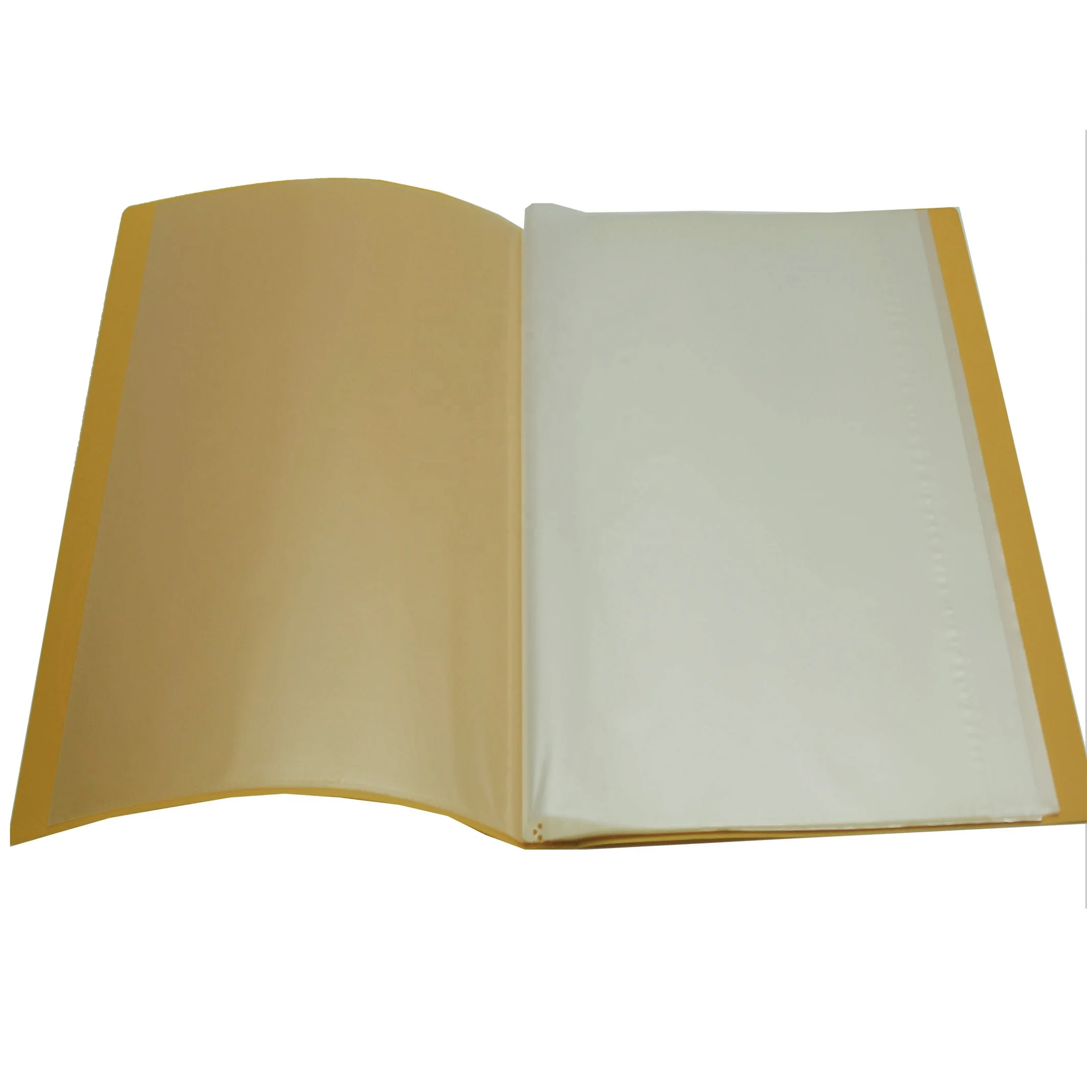 Custom Plastic File Folder Display Book with 10/20/30/40/60/80 Clear Pocket  - China Office, Envelope