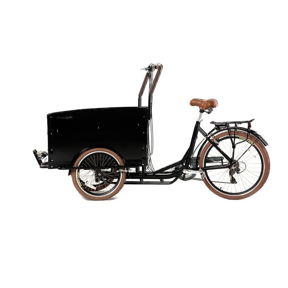 Troy basic shop cargo bike