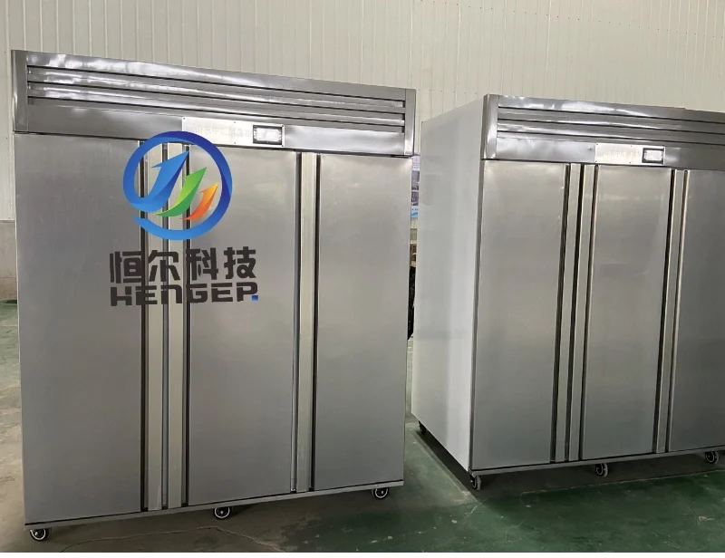 Direct Selling Defrost Machine Frozen Meat Thawing Machine Tuna Defrosting Machine