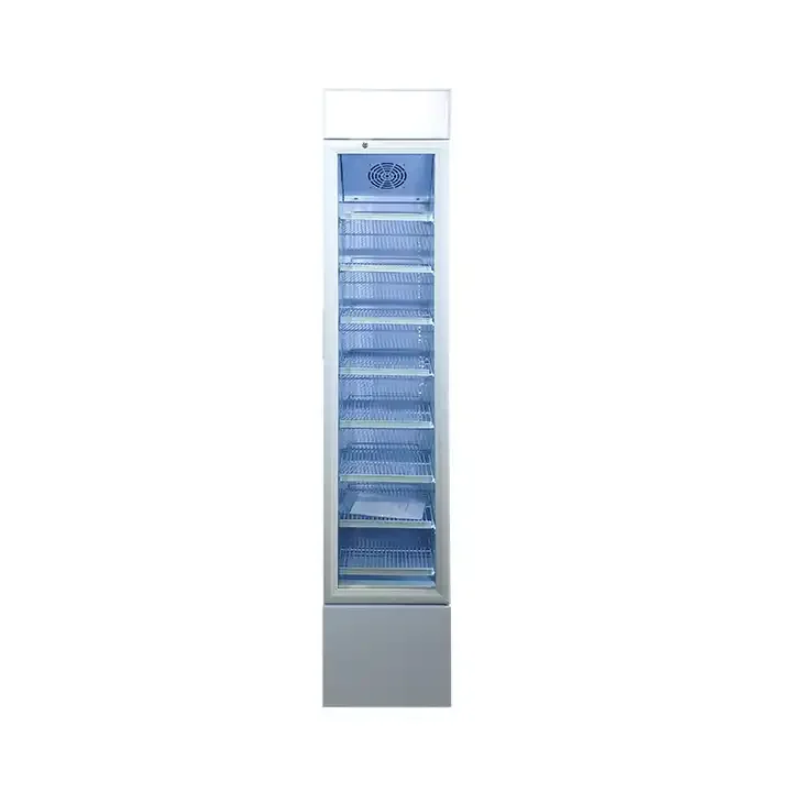 Fenfei Small Commercial-Sized Refrigerators  Sales Igloo Korean Island Style Custom Dover Danone Design Available Small